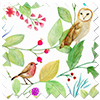 Hedgerow Velvet, Elysia - Motorised Roman Blind